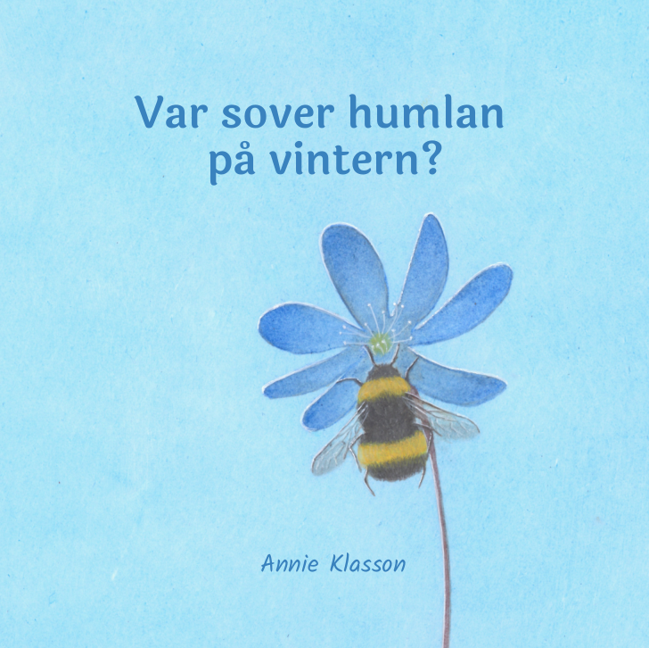 framsida